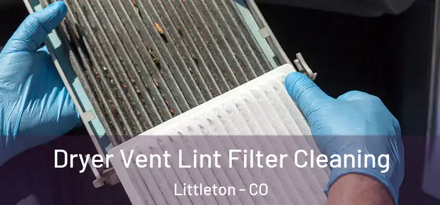  Dryer Vent Lint Filter Cleaning Littleton - CO