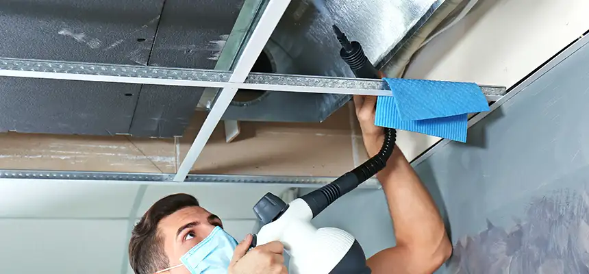 Our Air Duct Rodent Removal Services in Littleton, CO