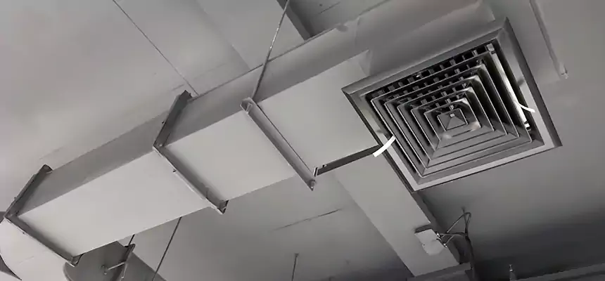 Restorative Allergy Relief Vent Cleaning – Coil, Blower & Housing Detail in Littleton