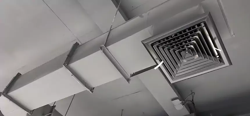 Our Pest Removal From Ducts Services in Littleton, CO