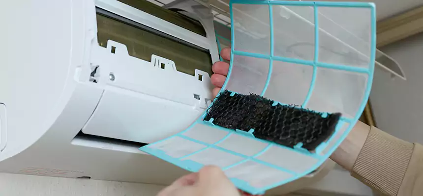 Gentle Ductwork Odor-Control Pet Dander Duct Cleaning in Littleton, CO