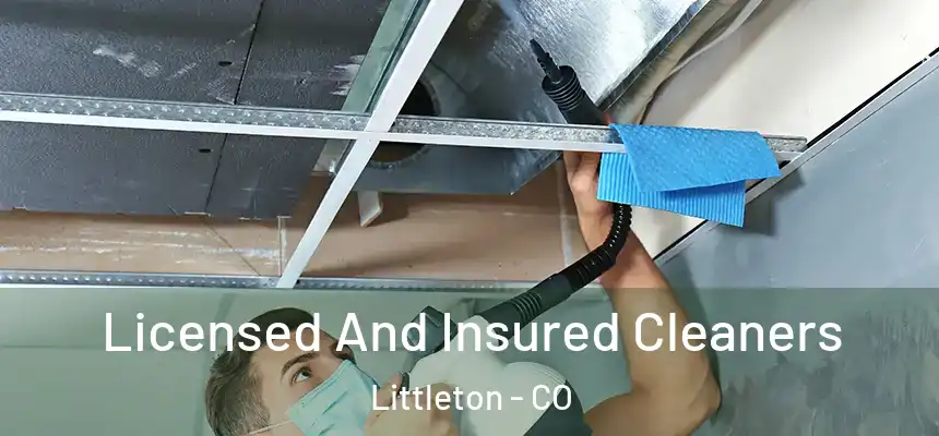  Licensed And Insured Cleaners Littleton - CO