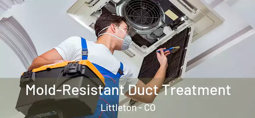  Mold-Resistant Duct Treatment Littleton - CO