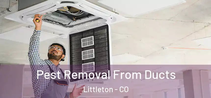 Pest Removal From Ducts Littleton - CO