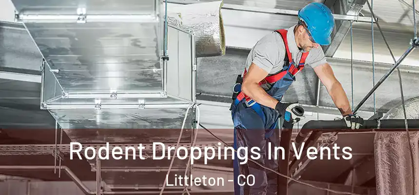  Rodent Droppings In Vents Littleton - CO