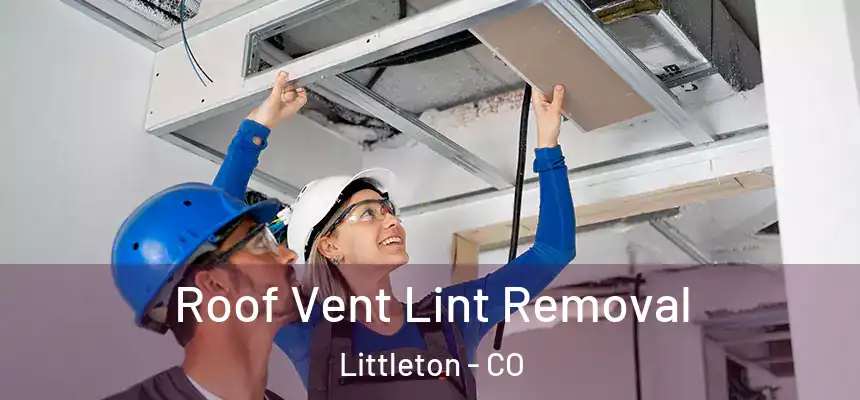  Roof Vent Lint Removal Littleton - CO