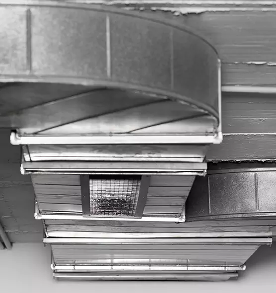 Professional Air Duct Pet Hair Removal in Littleton, CO