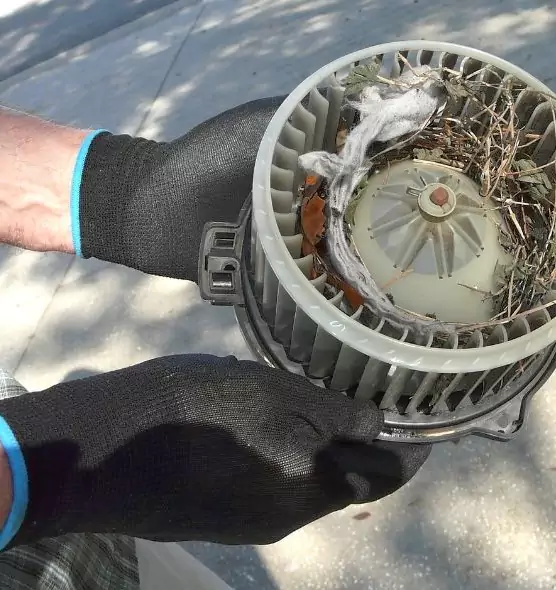 About Air Duct Rat Removal in Littleton, CO