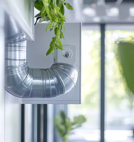 Professional Eco-Safe Dryer Vent Cleaning in Littleton, CO