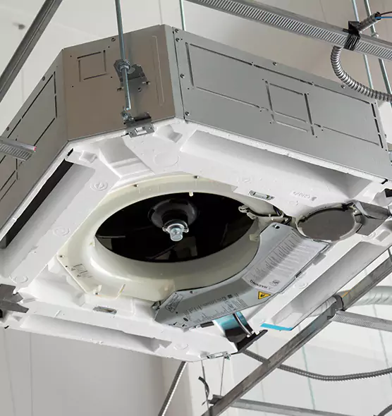 Professional Roof Vent Lint Removal Littleton, CO