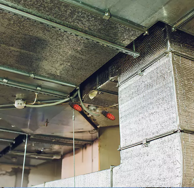 Why Homeowners & Businesses Trust Us in Littleton, CO?