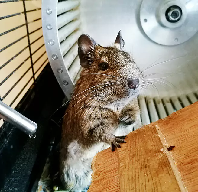 Why Homeowners & Businesses Trust Us Littleton, CO